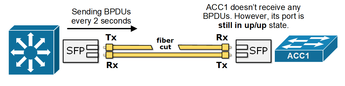 Unidirectional link between DS2 and ACC1