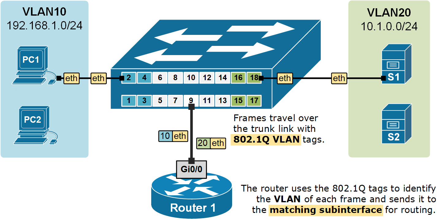 Figure 4. A router on a stick, logical view.