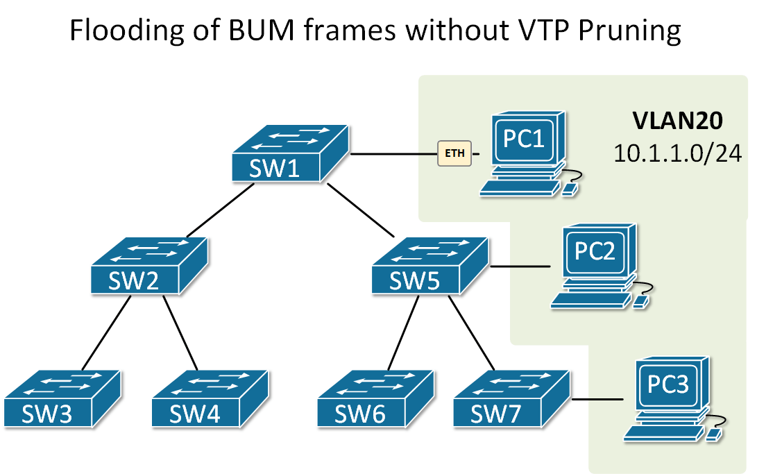 Flooding of BUM frames without VTP Pruning
