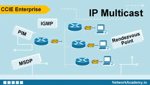 IP Multicast: Example-based Study Guide